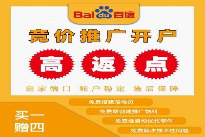 百度竞价推广公司成功案例揭秘：广告投放的五大误区与对策